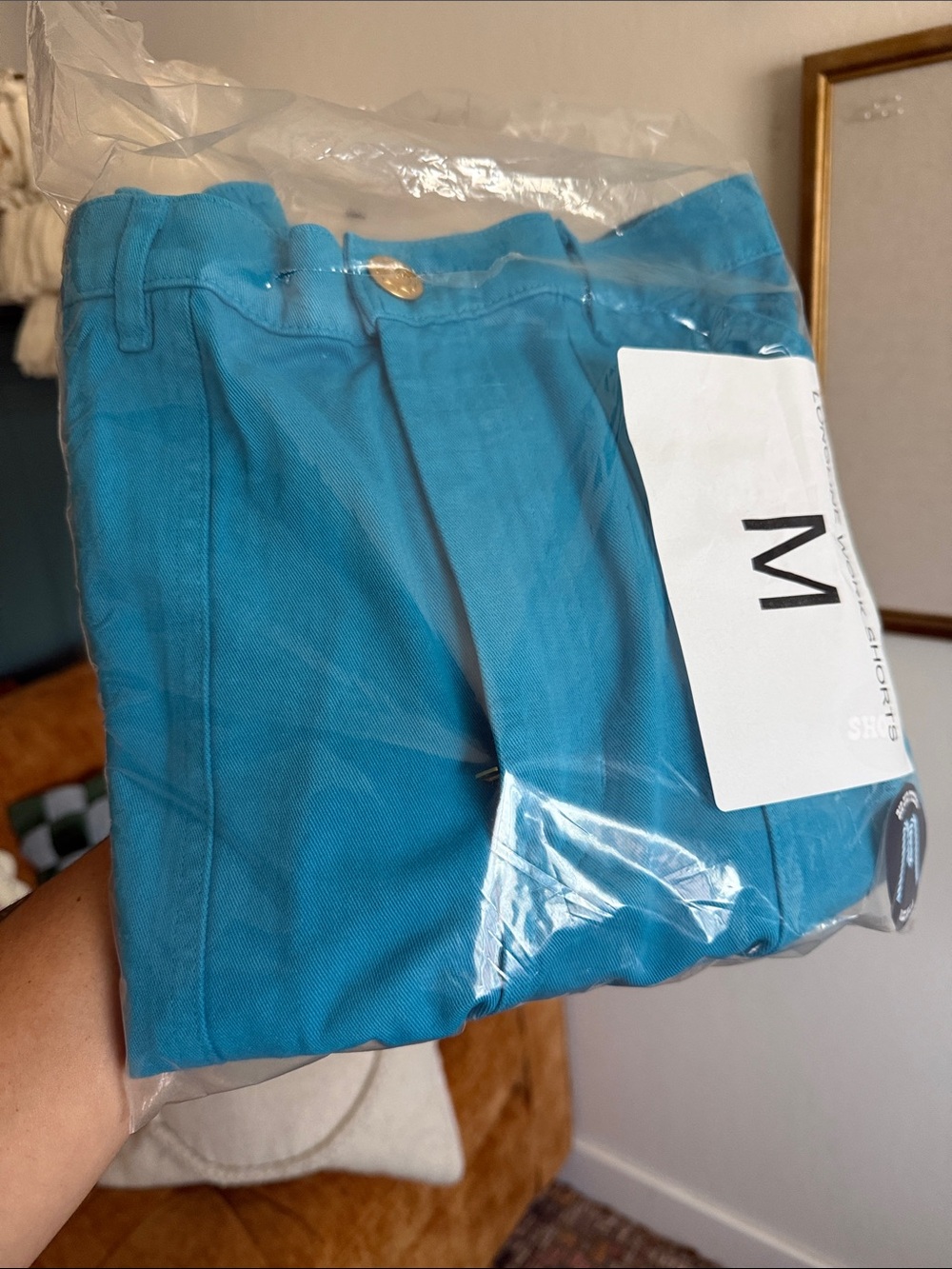 Big Bud Press Turquoise long line shorts in M, NWT - Picture 2 of 4